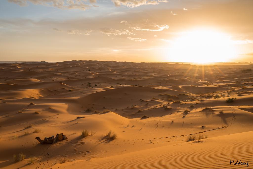 Desert Luxury Camp Morocco Мерзуга Екстер'єр фото